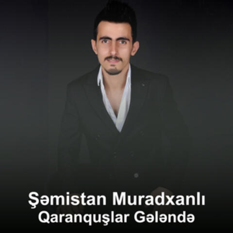 Qaranquşlar Gələndə