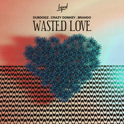 Wasted Love (Foxela Remix)