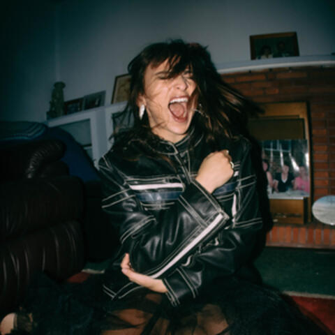 I Accidentally Burnt The House Down