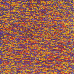The 600 Prophets