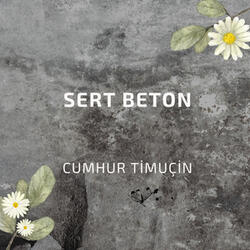 Sert Beton
