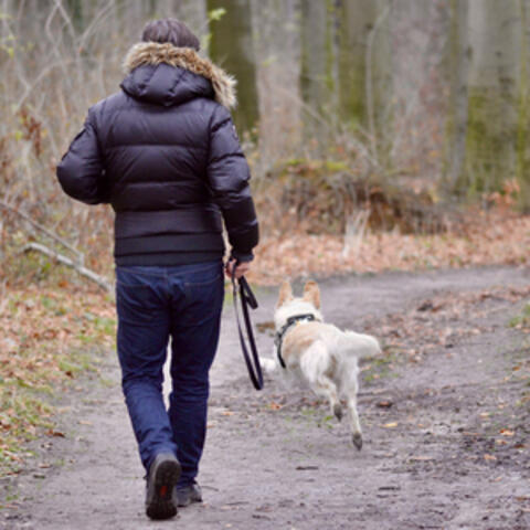 Goodbye to a dog