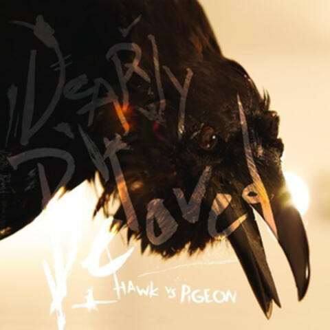Hawk Vs. Pigeon