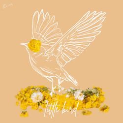 Little Bird