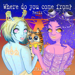 Where do you come from?