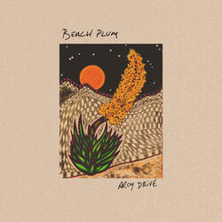 Desert Song