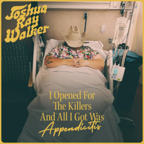 I Opened For The Killers And All I Got Was Appendicitis