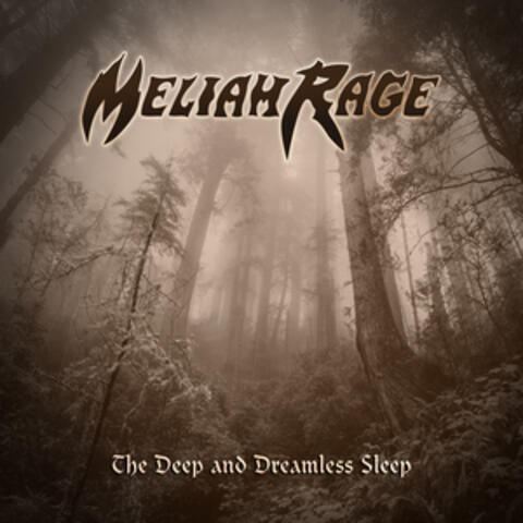 The Deep And Dreamless Sleep (2017 Remix)