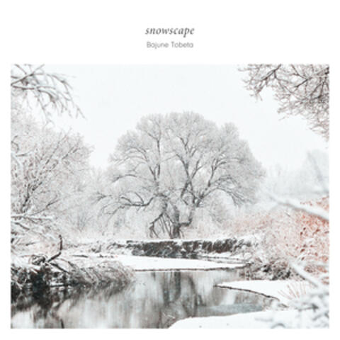 snowscape