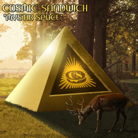 Cosmic Sandwich