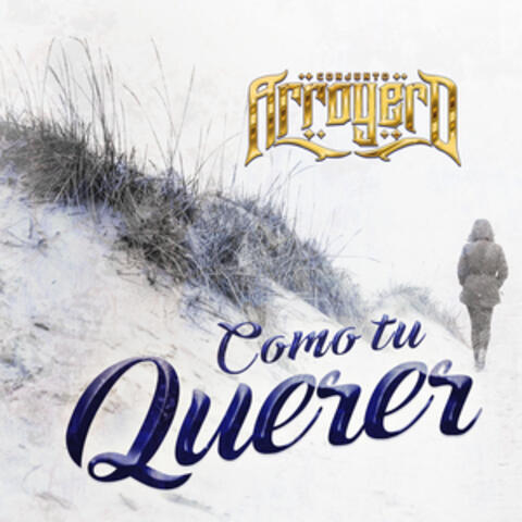 Como Tu Querer