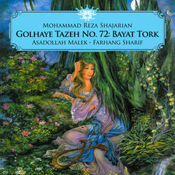 Chaharmezrab Bayat Tork