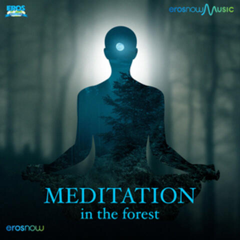 Meditation In The Forest