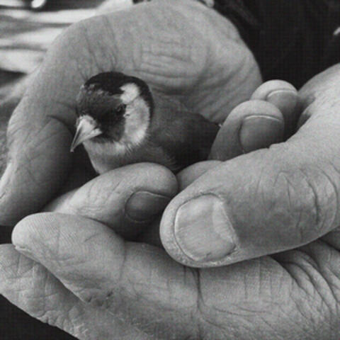 In Your Hands (Now)