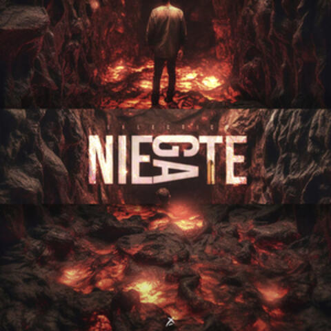 Niegate