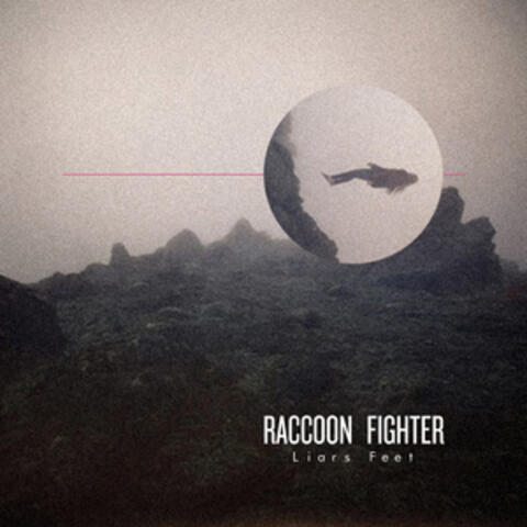 Raccoon Fighter