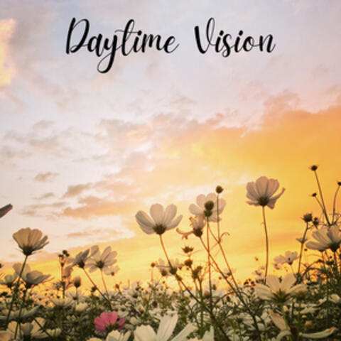 Daytime Vision