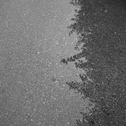 when a drop of rain falls