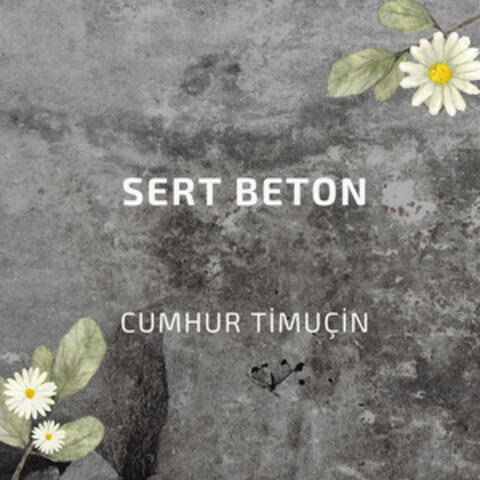 Sert Beton