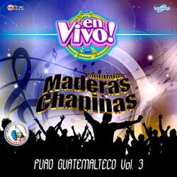 Mini Mosaico de Musica Regional 2: La Feria de La Cruz / Compay Manolo (Compadre Manuel) / Linda Princesita