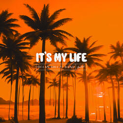 It's My Life