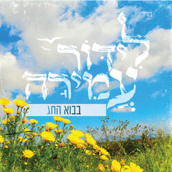 בבוא החג