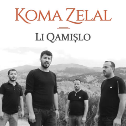 Li Qamişlo