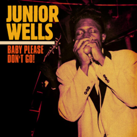 Baby Please Don't Go (2023 Mix)