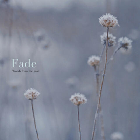 Fade - Words from the past-