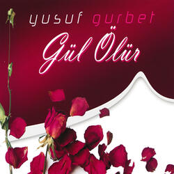 Kutlu Gece