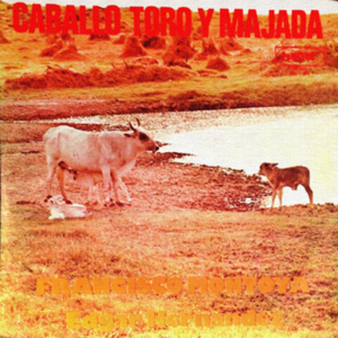 Catorce Cargas por la Libertad