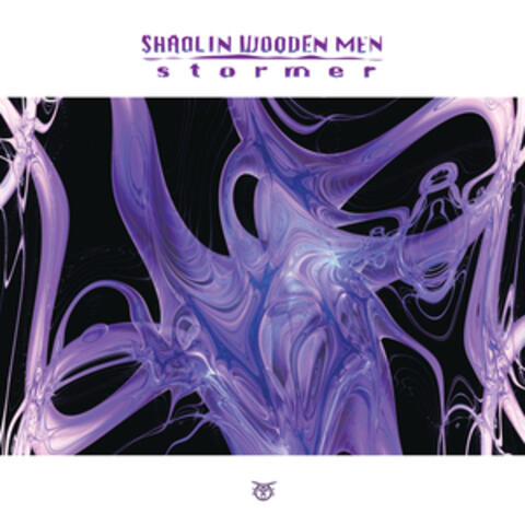 Shaolin Wooden Men