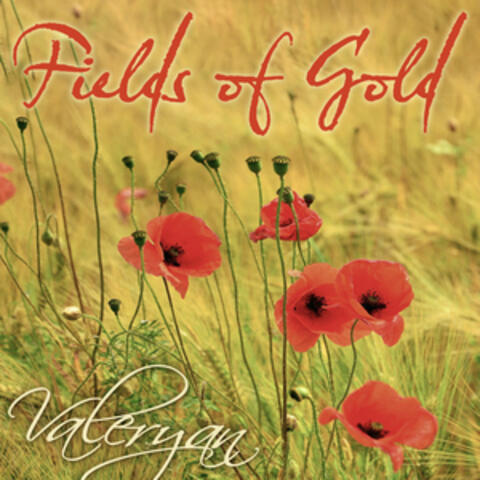 Fields of Gold - Single