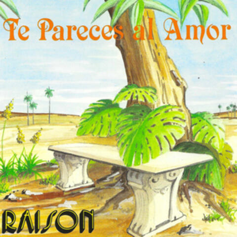 Grupo Raisón