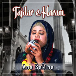Tajdar e Haram