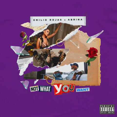Not What You Want (feat. Abrina)