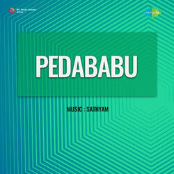 Nuvvante Nenanta (From "Pedababu")