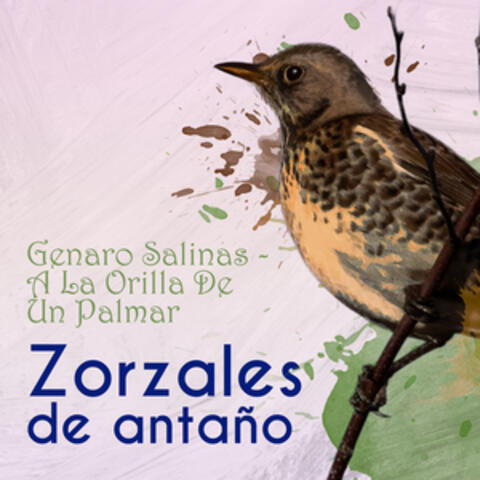 Zorzales de Antaño… A La Orilla De Un Palmar