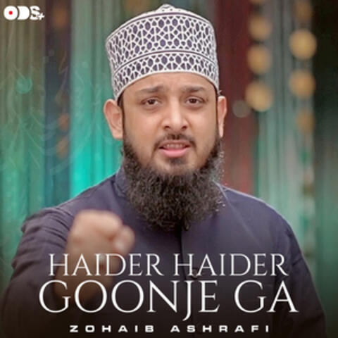 Haider Haider Goonje Ga - Single