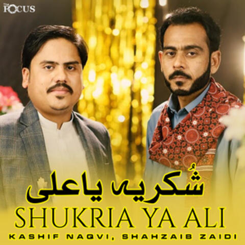Shukria Ya Ali - Single