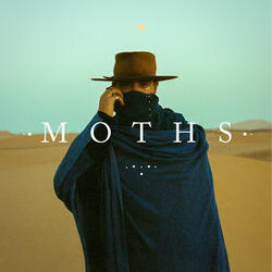 Moths