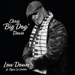 Low Down (feat. Ryan La Valette)