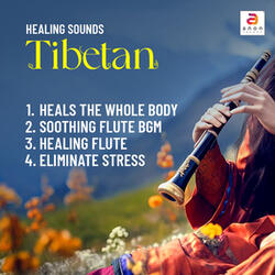 Tibetan Healing Flute