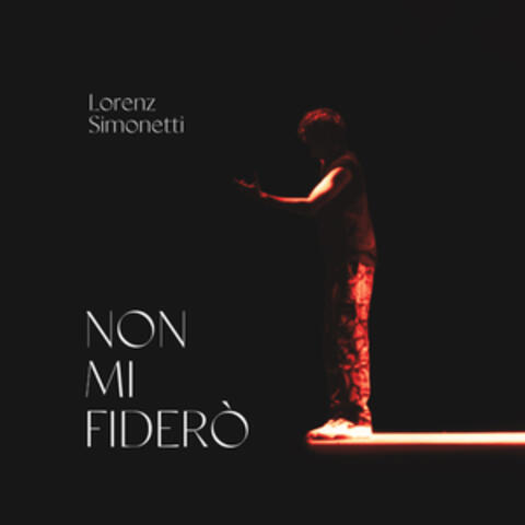 NON MI FIDERO'