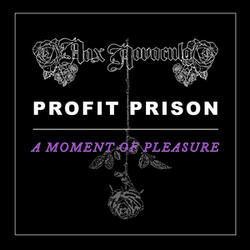 Moment Of Pleasure