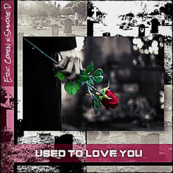 Used To Love You