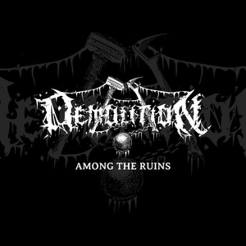 Among the Ruins