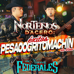 Norteños D'Acero: Éxitos Pesaooogritomachín