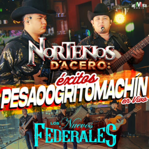 Norteños D'Acero: Éxitos Pesaooogritomachín