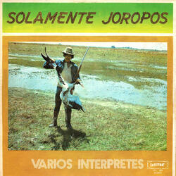 Vuelve el Pajarito al Llano